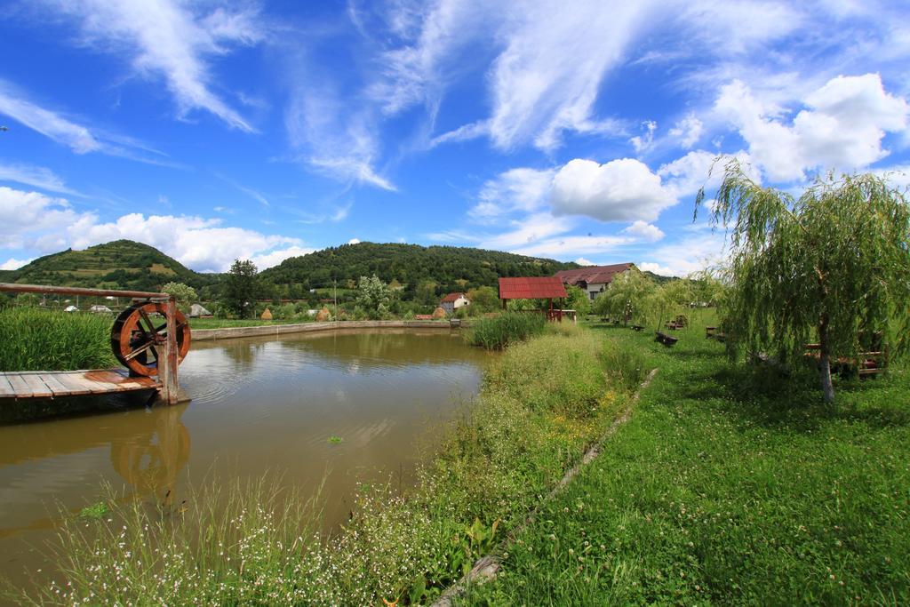Pensiunea Lacramioara Săcel Exterior foto
